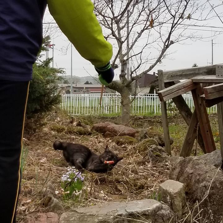 3d62a4c6 934a 445b 92cc 793ff92b672a 1589540756764