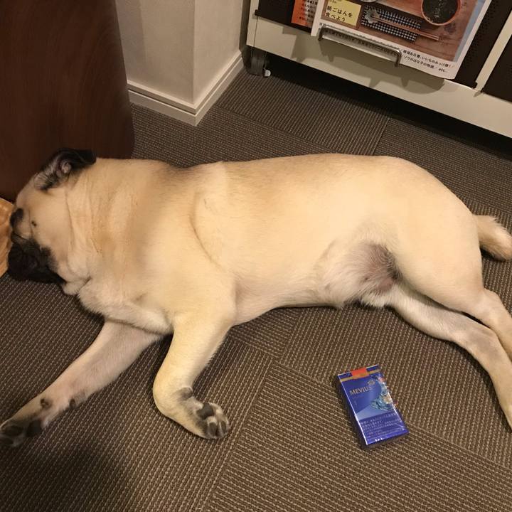 3d62af0d 73b4 4152 a8de 8f51796197fe 1550055427659