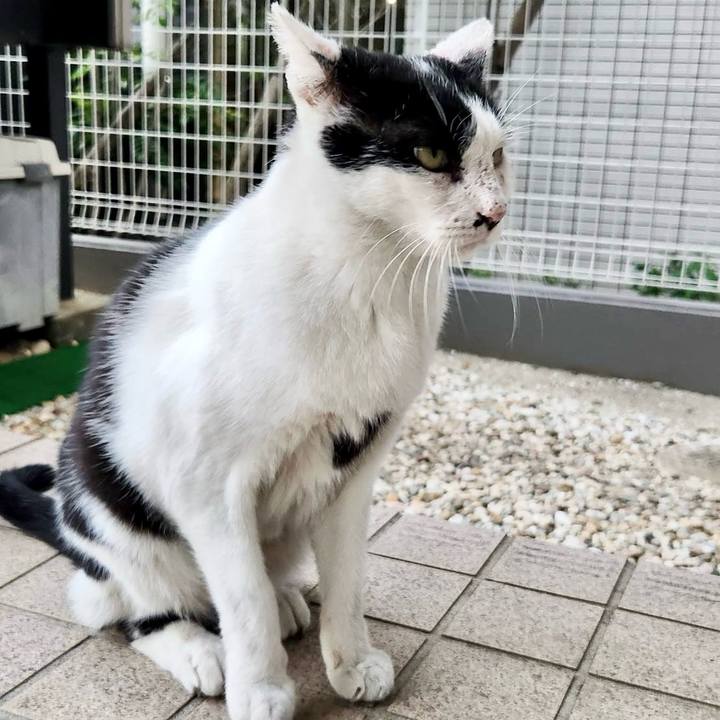 3d62b928 f8fb 4f49 ab82 bfa99fcd2e98 1758773326141