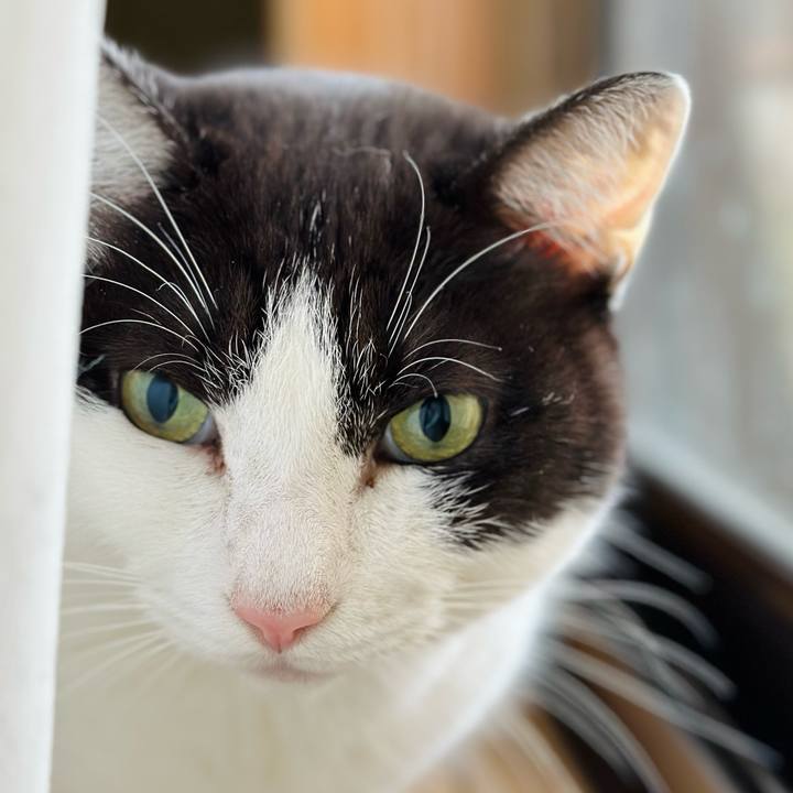 3d62dbd8 c8c3 4b3b b3a0 58d78750f8fe 1670896112879