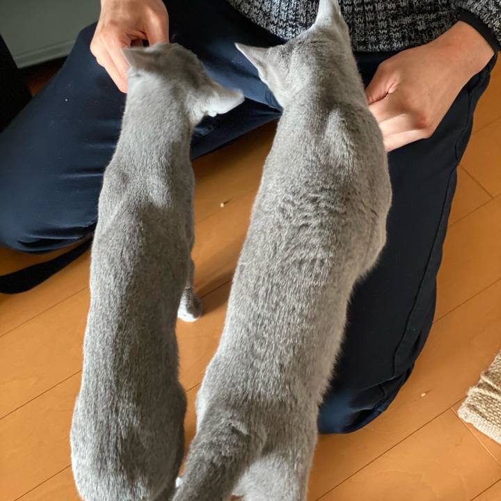 3d63398b 3c78 463e 85e8 d6aad4cfa85f 1610159993583