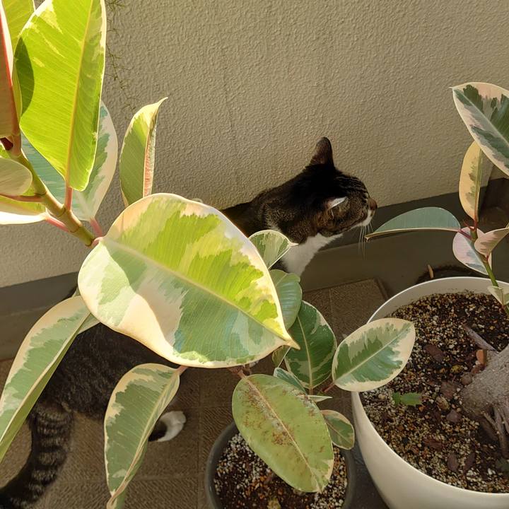 3d6373f4 9884 49ff b953 3edbfe2a38fb 1728776667498