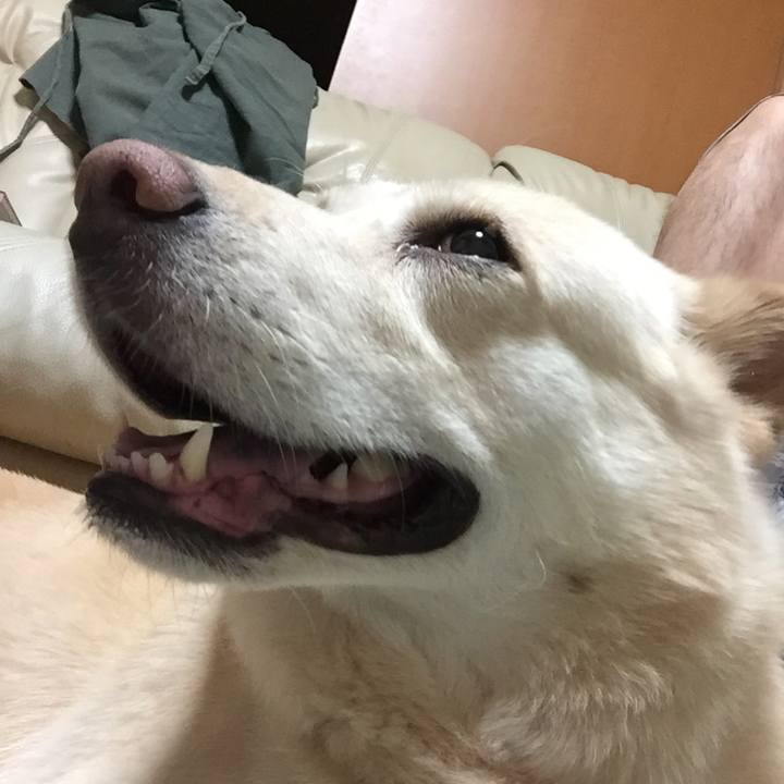 3d63d817 220b 44a4 99a7 4f21c4059349 1508154334006