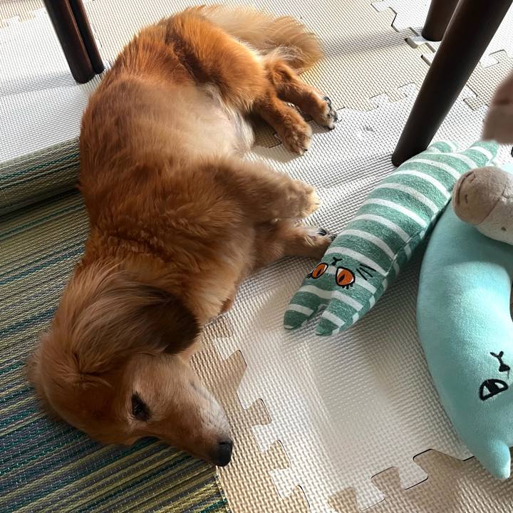 3d63fe11 28af 4619 9290 c36bb748e0aa 1655630707948