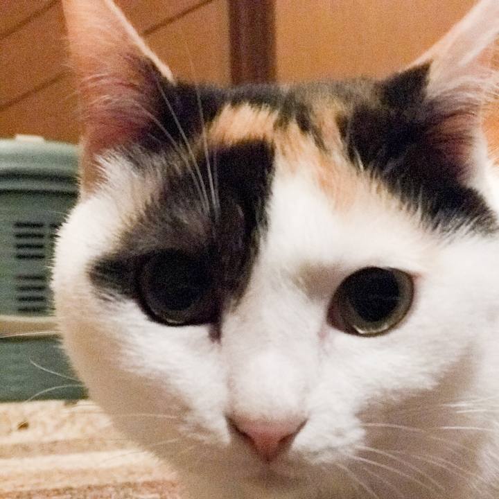 3d6419ea e6f2 4d8d a781 0d938fdc5859 1527948290265