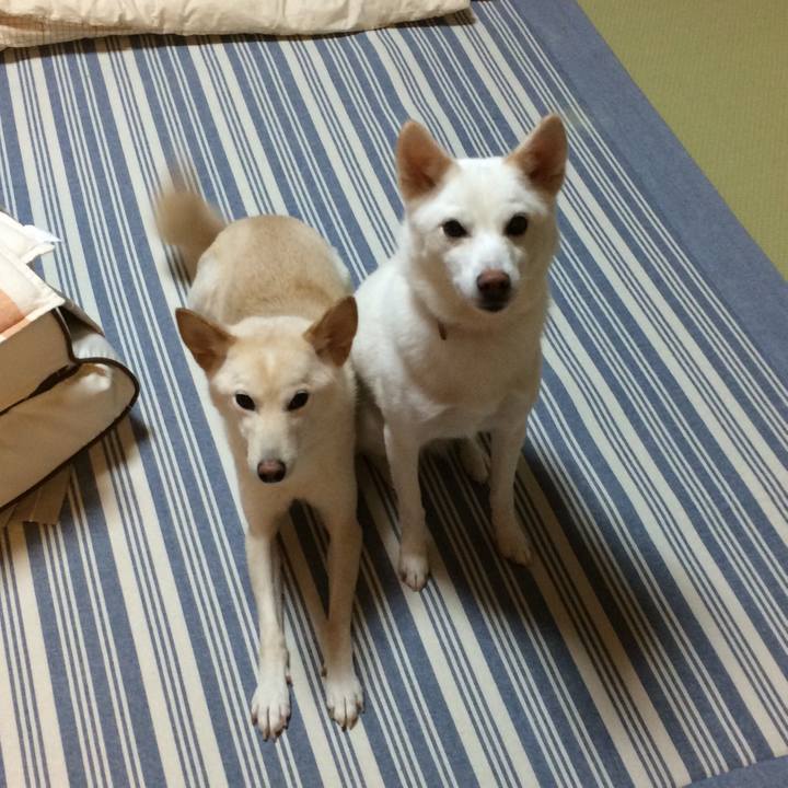 3d645de5 8b2e 43db b42e 180fcd5519a3 1542790311597