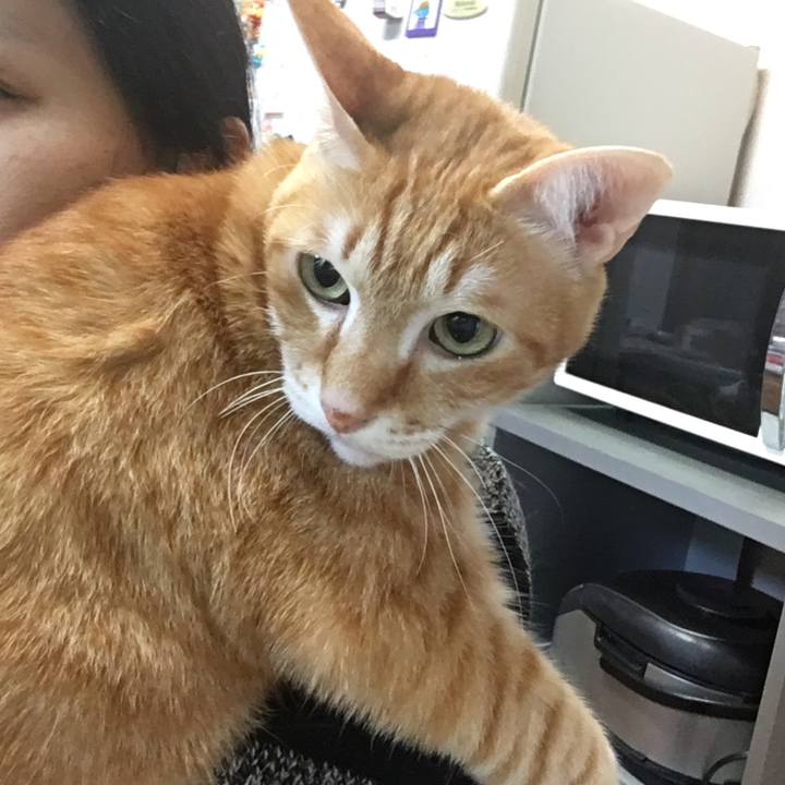 3d646836 a1a9 44f9 94a2 92e16833473e 1549192771534