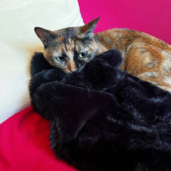 3d647f1a 0c0e 4940 8214 30146afe0891 1732141048171