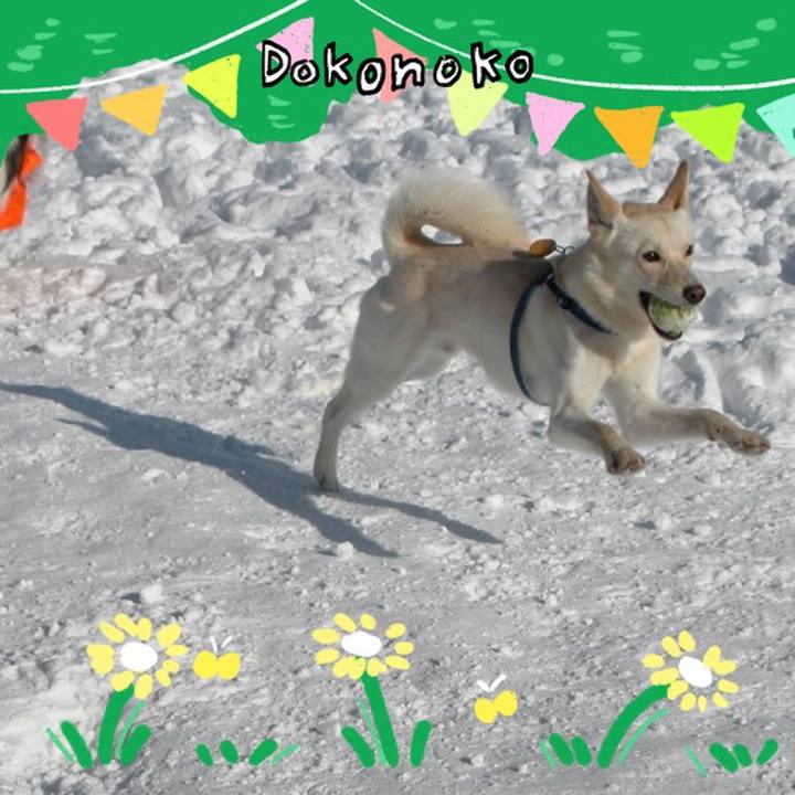 3d6490e5 7bee 4e34 9516 ab38ade6dad4 1711097462544