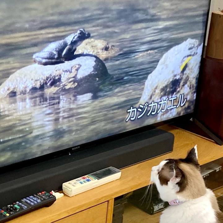 3d649a02 2ac8 4662 bc36 6d3685a1eeb7 1661066483059