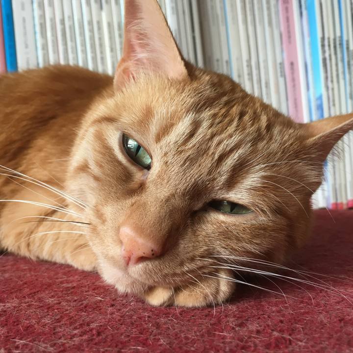 3d64c980 f432 41d2 8a96 ce6e0478d58f 1527812760176