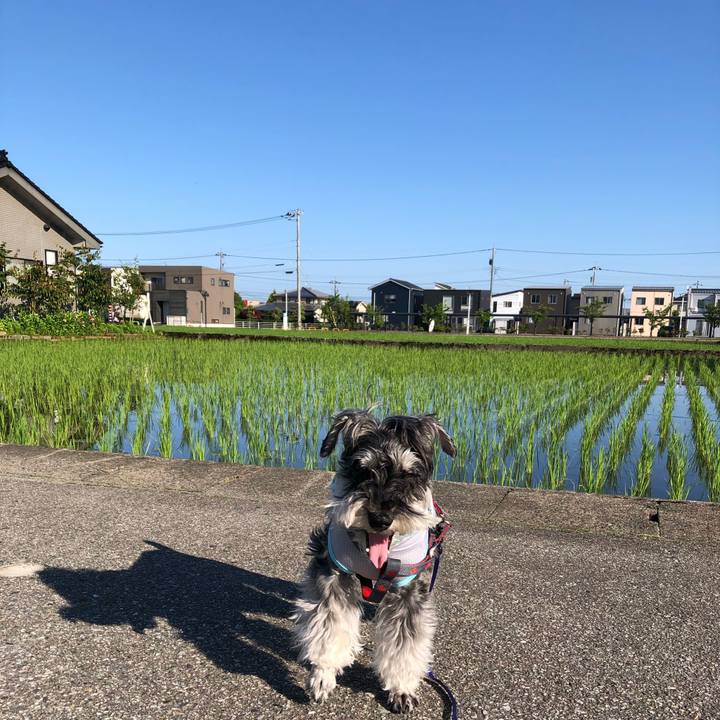 3d64d385 b402 4a59 8f61 8864d12304be 1686958086021