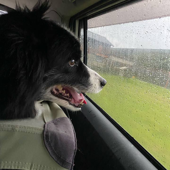 3d64dd1d e6e9 422e af19 15b1d0b3c6ef 1679521981621