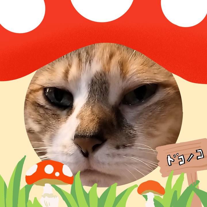3d64fbf7 609e 48c0 a4dd ab73b8c8429a 1729531042751