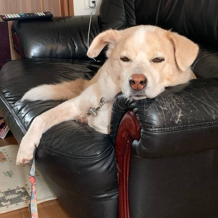 3d65934b ac28 4a14 ad18 ea4c00f26744 1609078029244