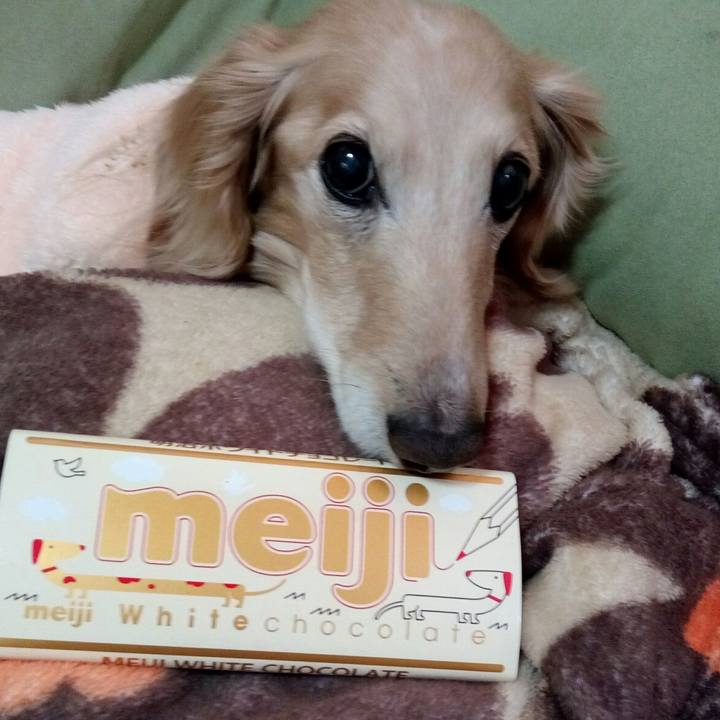 3d65a2a8 868a 4036 b35a 2c41db046cc8 1548934764476