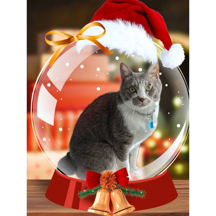 3d65d366 26ec 4b05 9f37 dc9c02289a7e 1735034158184