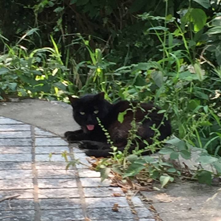 3d6617bc d5e5 4055 9266 43c014e75b35 1531884874321