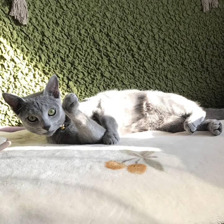 3d661cb7 7976 4e5d 9789 4b36164d9ecc 1517232886084