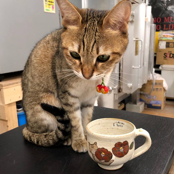 3d663682 6ea5 49b3 9c79 23fe3dd5cd1e 1667387859200