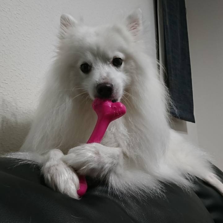 3d666c27 e9dc 4a6f 8bf0 ca4fe029ab97 1599487878922