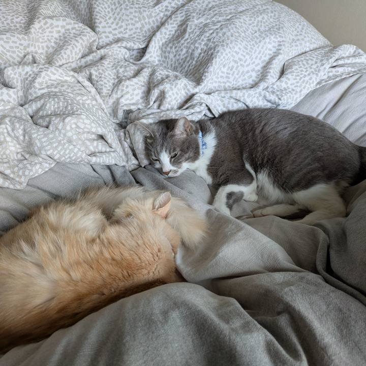 3d66a332 0733 4fe0 ac1b 41500c211410 1732583424863