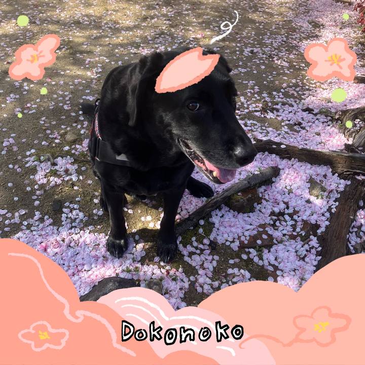 3d66b044 4590 44e9 b663 cd893a3fdee4 1775872493412