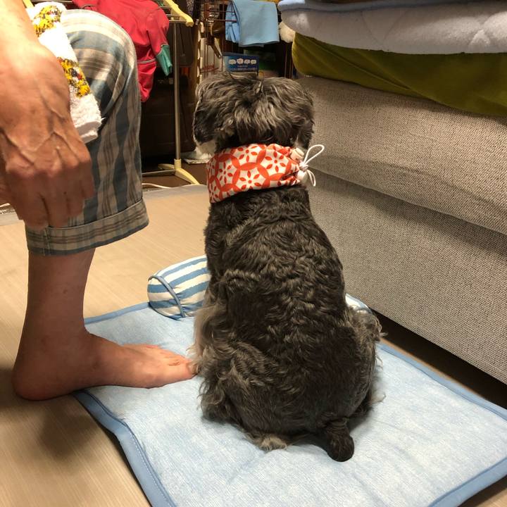 3d66d7dc 9ca1 4b84 88b1 d997c723c6d9 1659532232326