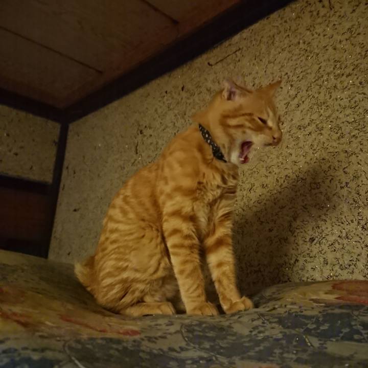 3d66f1a1 0735 46c3 9027 623e8761e5bf 1637065046154