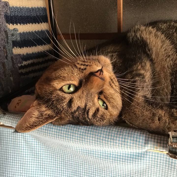 3d671edd de6a 40d8 b00f c583b5161e0f 1757409887764