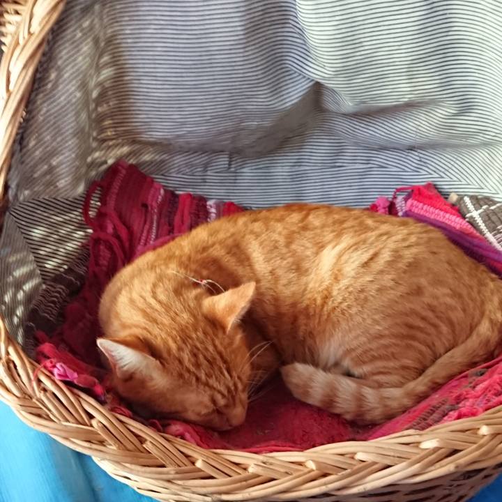 3d672223 1a1c 478b 8aea 2f90508cfa26 1565422732610