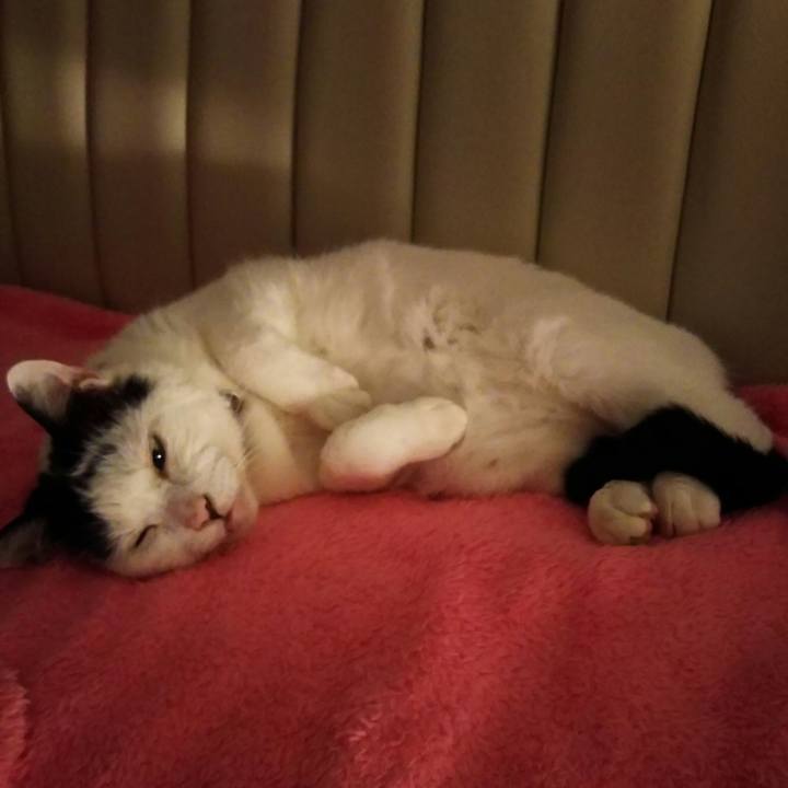 3d67665f 87cc 4bed a900 b23eb4f5f407 1563725332293