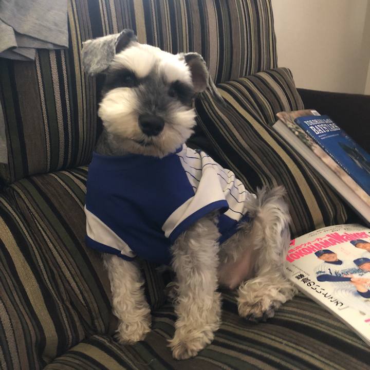 3d6766c9 011d 4f08 959f 70cb3cdd7187 1521952693067