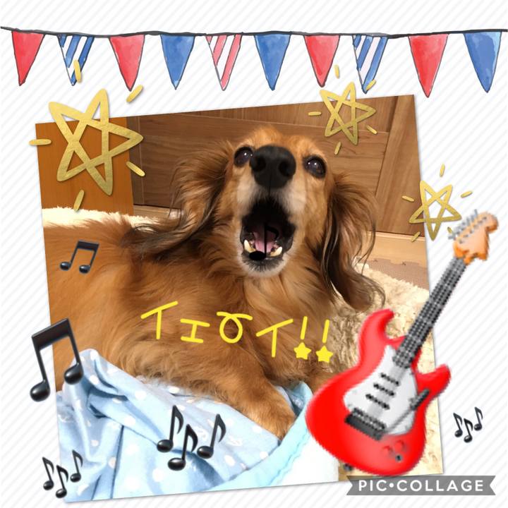 3d676bf5 8cc0 4795 abf7 1bf090a13838 1562497932345