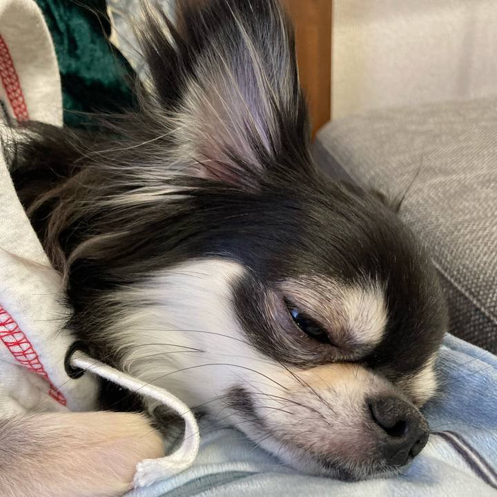 3d676ecf 9fe1 42e2 b65f 9474c0048b58 1641616519492