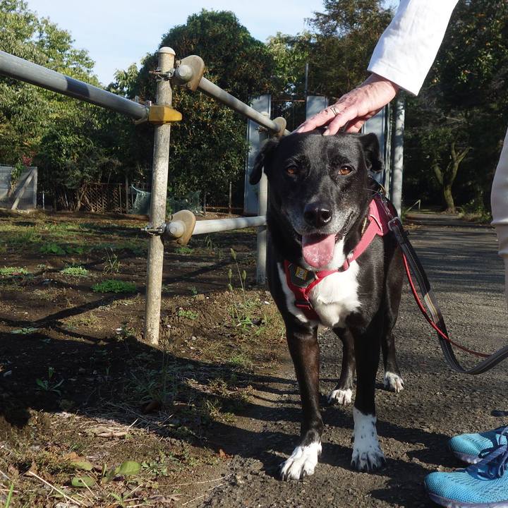 3d6787e5 cdc7 447e 91e8 de099ce4c026 1697763355125