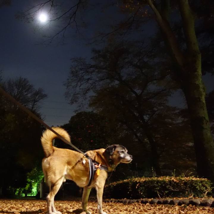 3d67a70c 810d 400f 845b d06ace4b280e 1622073065591