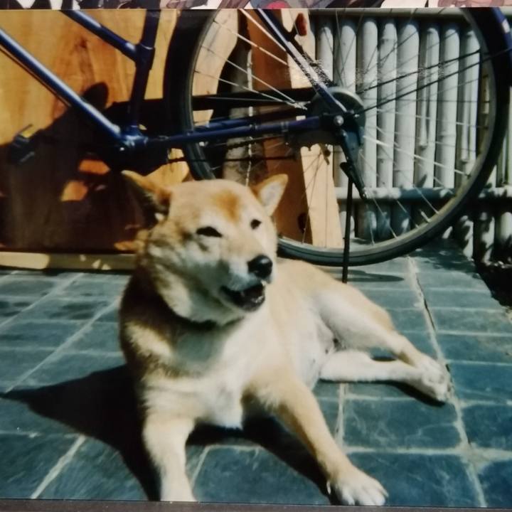 3d67ae6c c606 4215 8884 2561ed2dd203 1574573519175