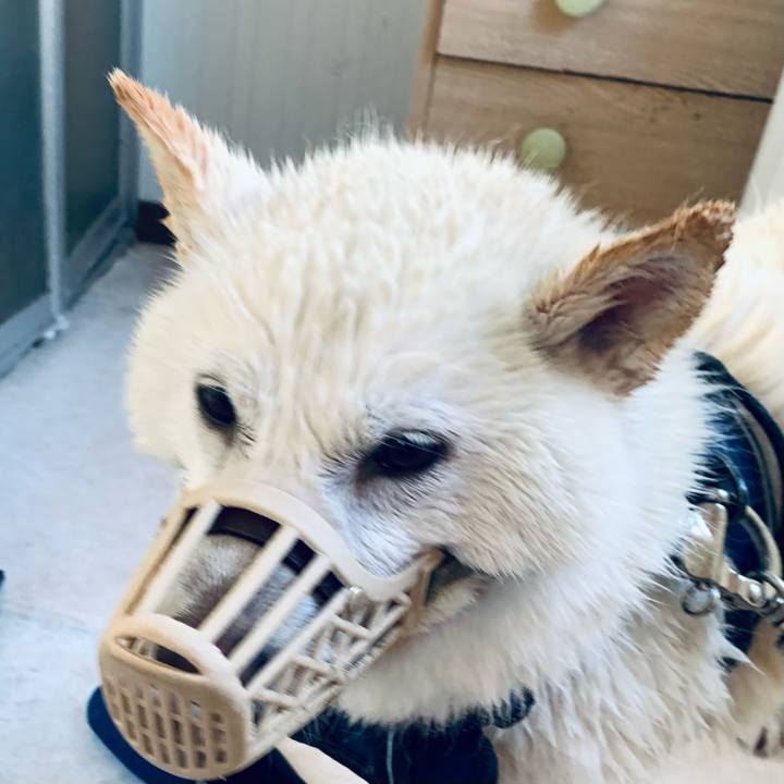 3d67dbda b8ac 48b4 9fcf 1f98479d5252 1652748947916