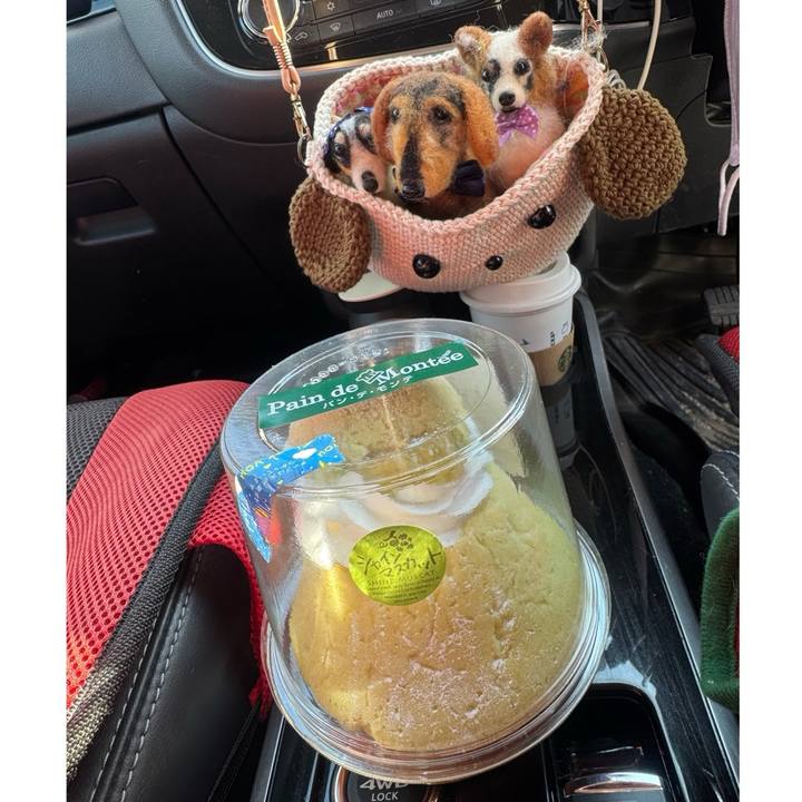 3d67f2c7 9416 4501 93dc f8c419dd328e 1763265878313