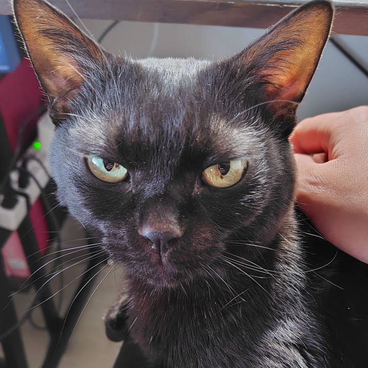 3d68820f de14 408d 8137 55056838b21b 1769327655421