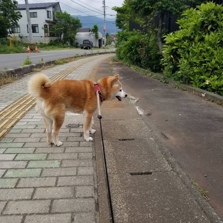 3d68b2b6 6f62 4371 8d60 761edf356051 1748243470214