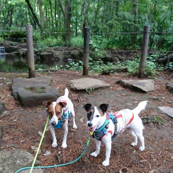 3d68f9a3 89ad 4c9a 89b6 1a44e4561190 1559976381660