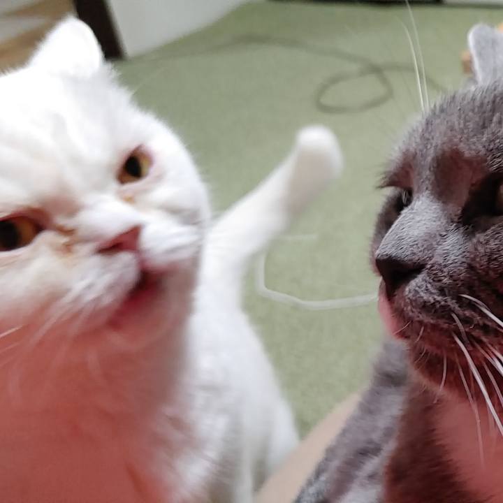 3d69094f 5ce6 44d6 99fc 761f50d0ef7c 1673077561634