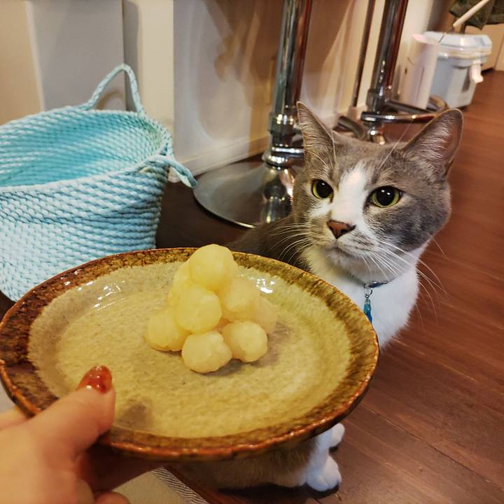 3d691fc7 e14d 4af7 9218 2afb5f391412 1662802714609