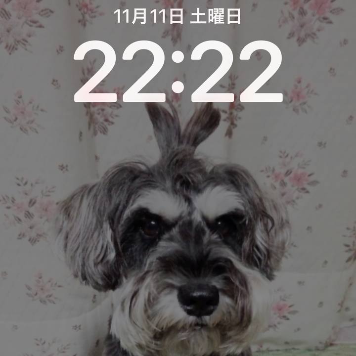 3d69257c e95d 4c59 9c64 05e944268e24 1699709115905