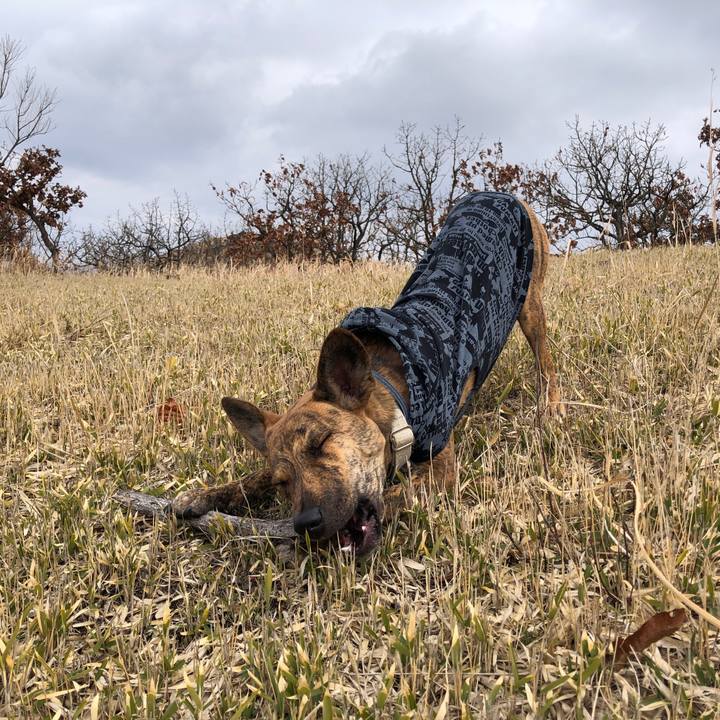 3d695847 6643 4c8f 9b8d 6e0d6c179eaa 1581423816323