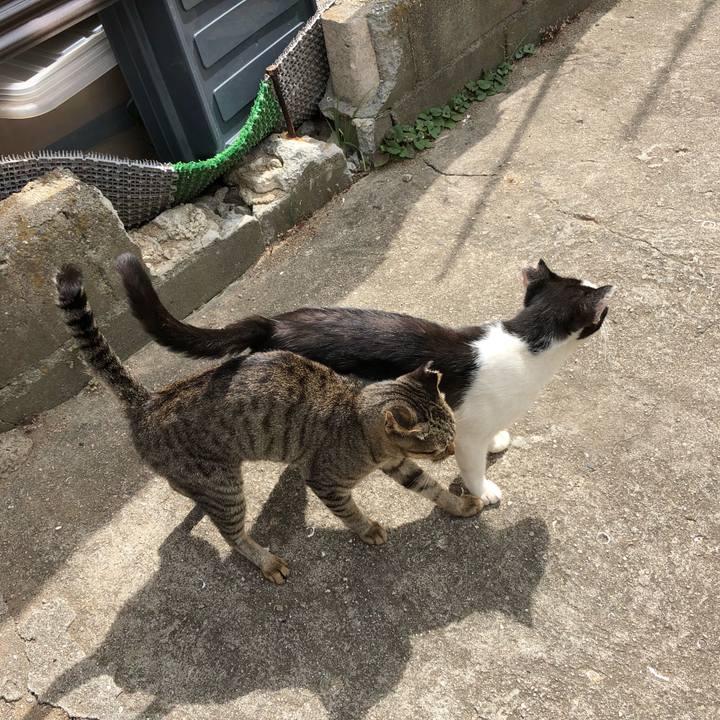 3d69af55 5dbd 4b29 821f fcb00e806b65 1570336306405