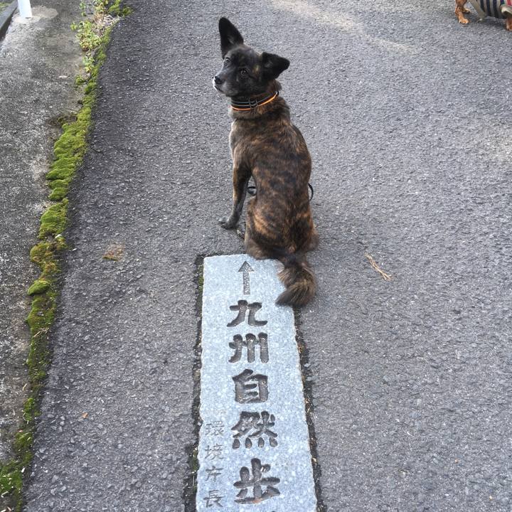 3d69ce4e 2987 4231 ad67 c7b95642d6ae 1547460984619