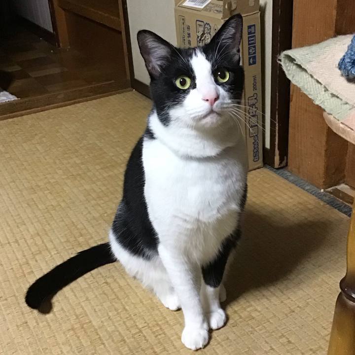 3d69d97c cc48 488a 86a4 e012724640ca 1718017750534